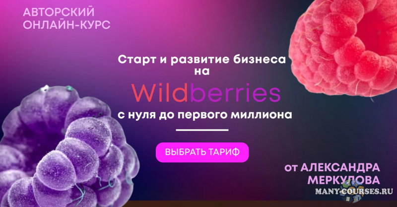 Александр Меркулов - Старт и развитие бизнеса на Wildberries с нуля до первого миллиона