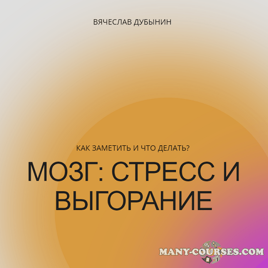 Вячеслав Дубынин - Мозг: стресс и выгорание. Как заметить и что делать? (2022)