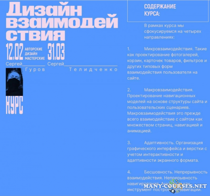 Сеpгей Гуpов, Сеpгей Телидченко - Дизайн взаимодействия (2024)